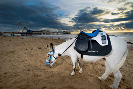 Barclay Card Pilot Contactless Donkeys on Blackpool Beach